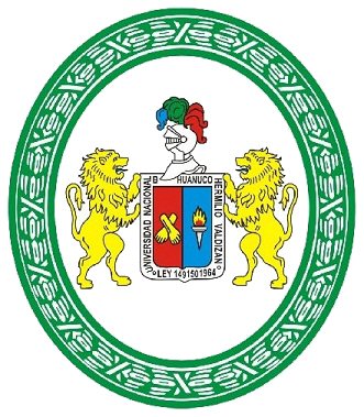 Universidad Nacional Hermilio Valdizan