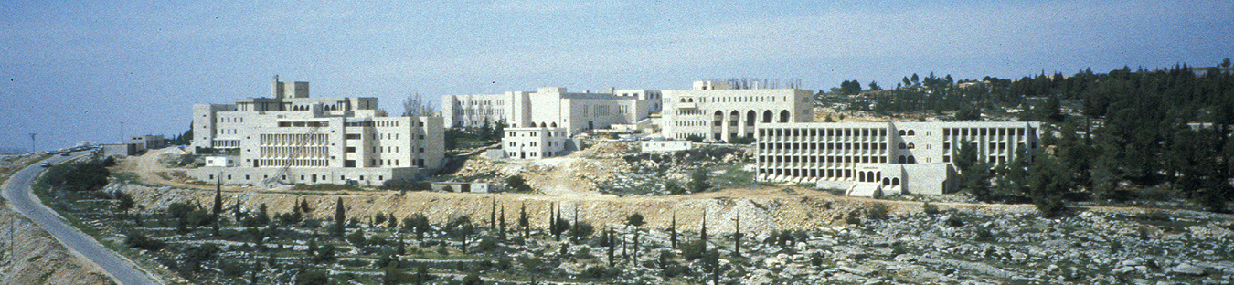 Birzeit University