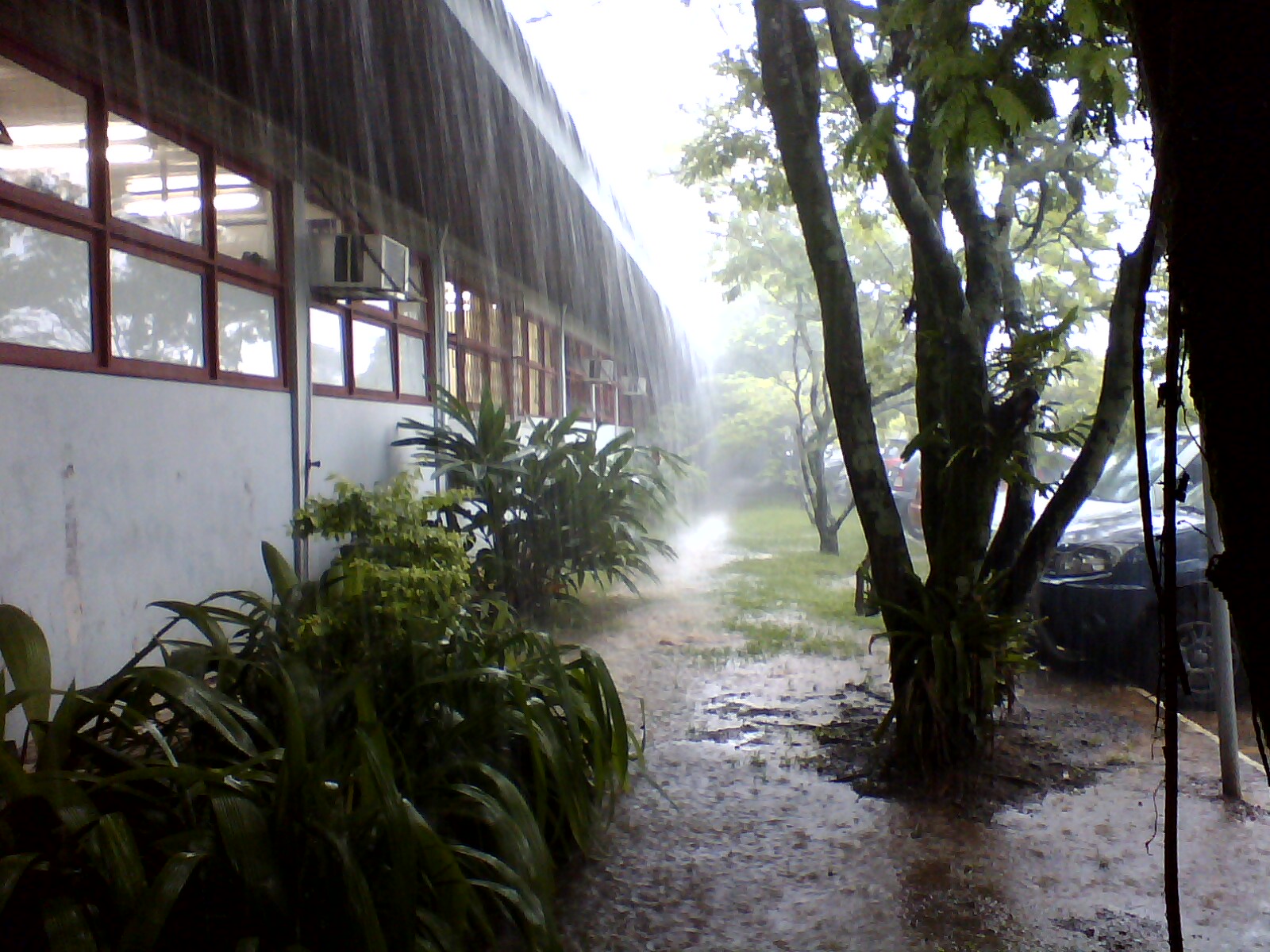 Universidade do Extremo Sul Catarinense