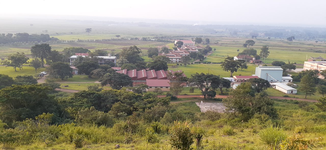 Busitema University