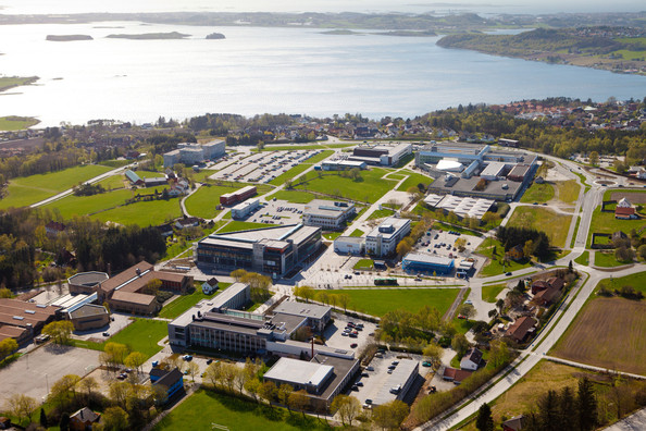 Universitetet i Stavanger