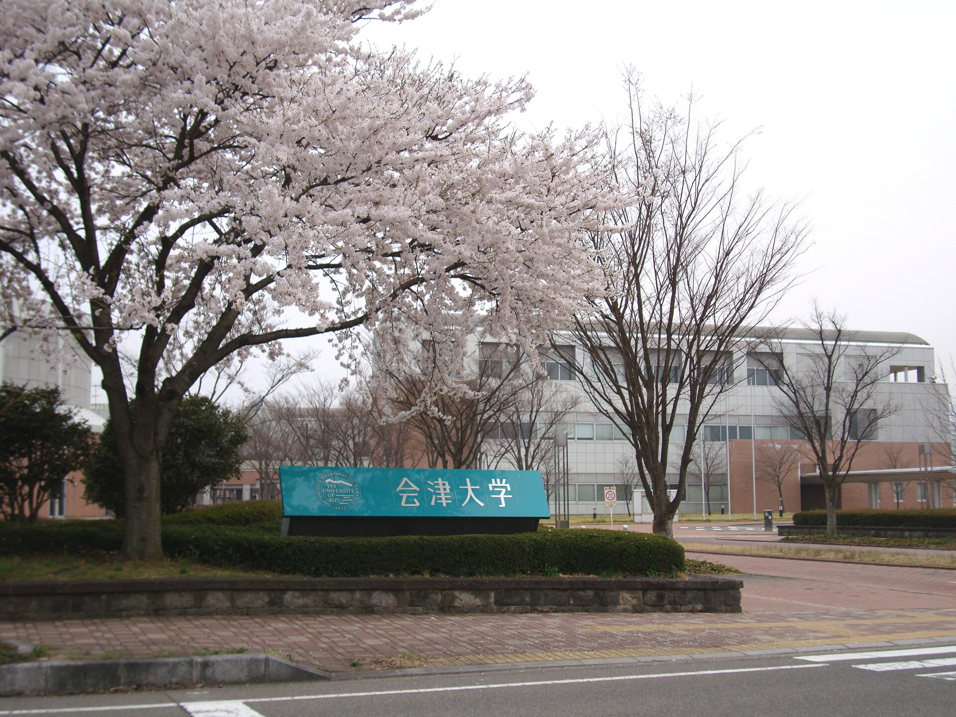 University of Aizu