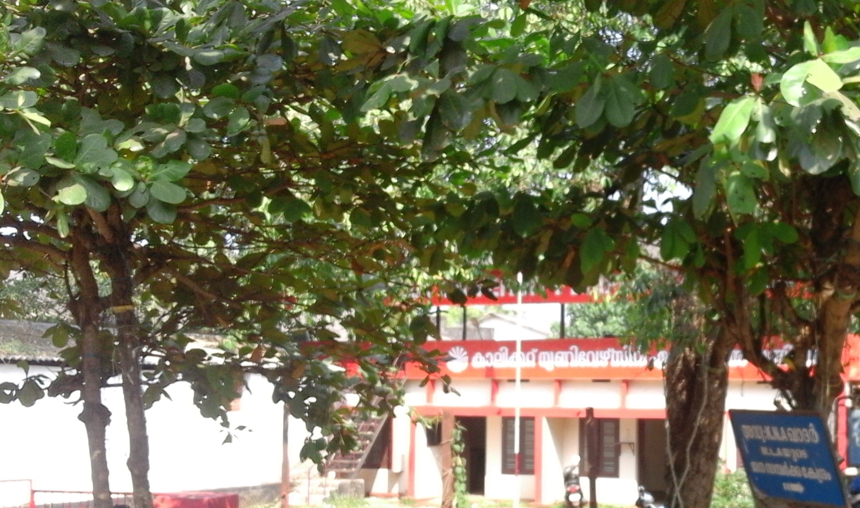 University of Calicut
