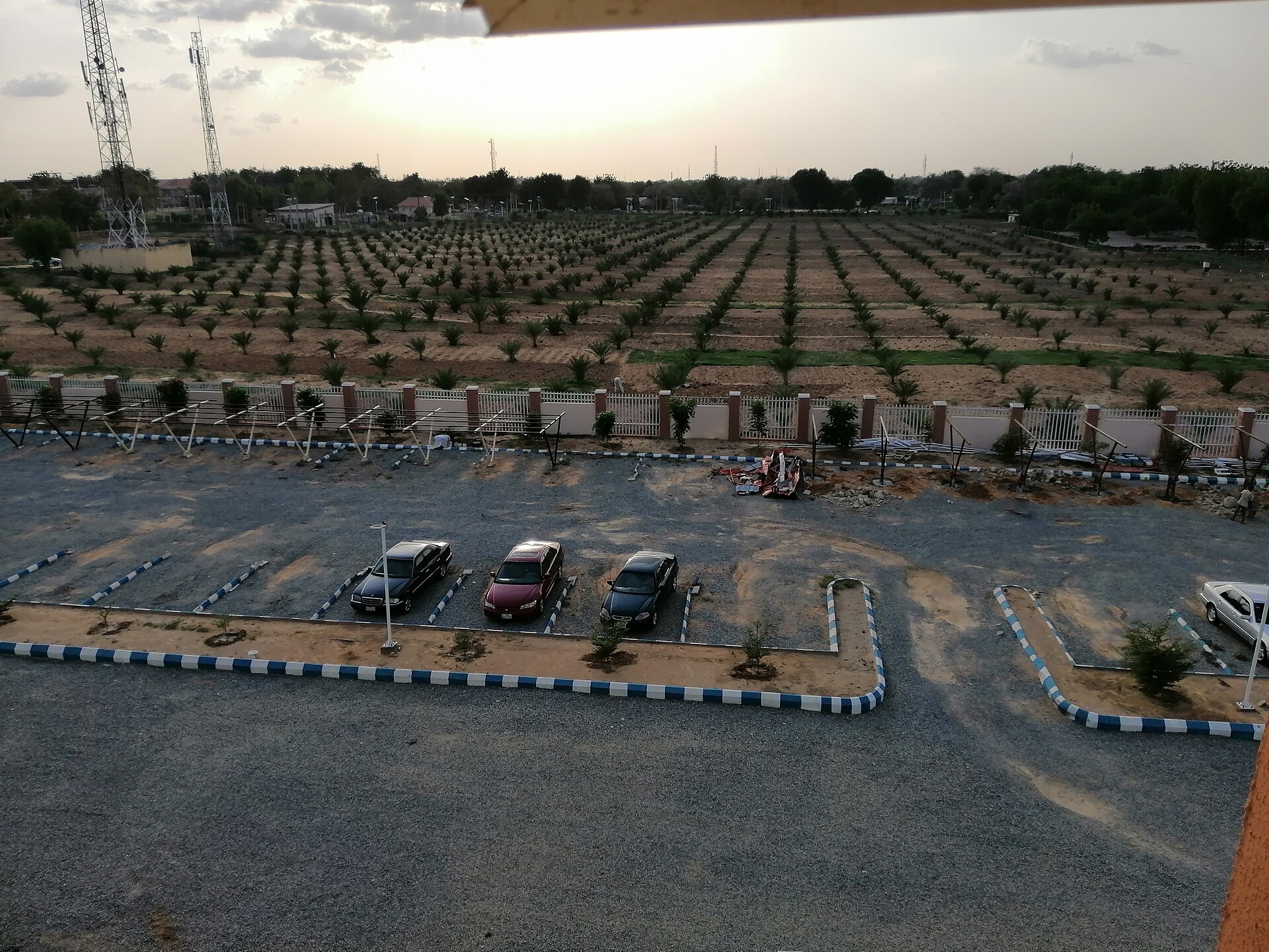 University of Maiduguri