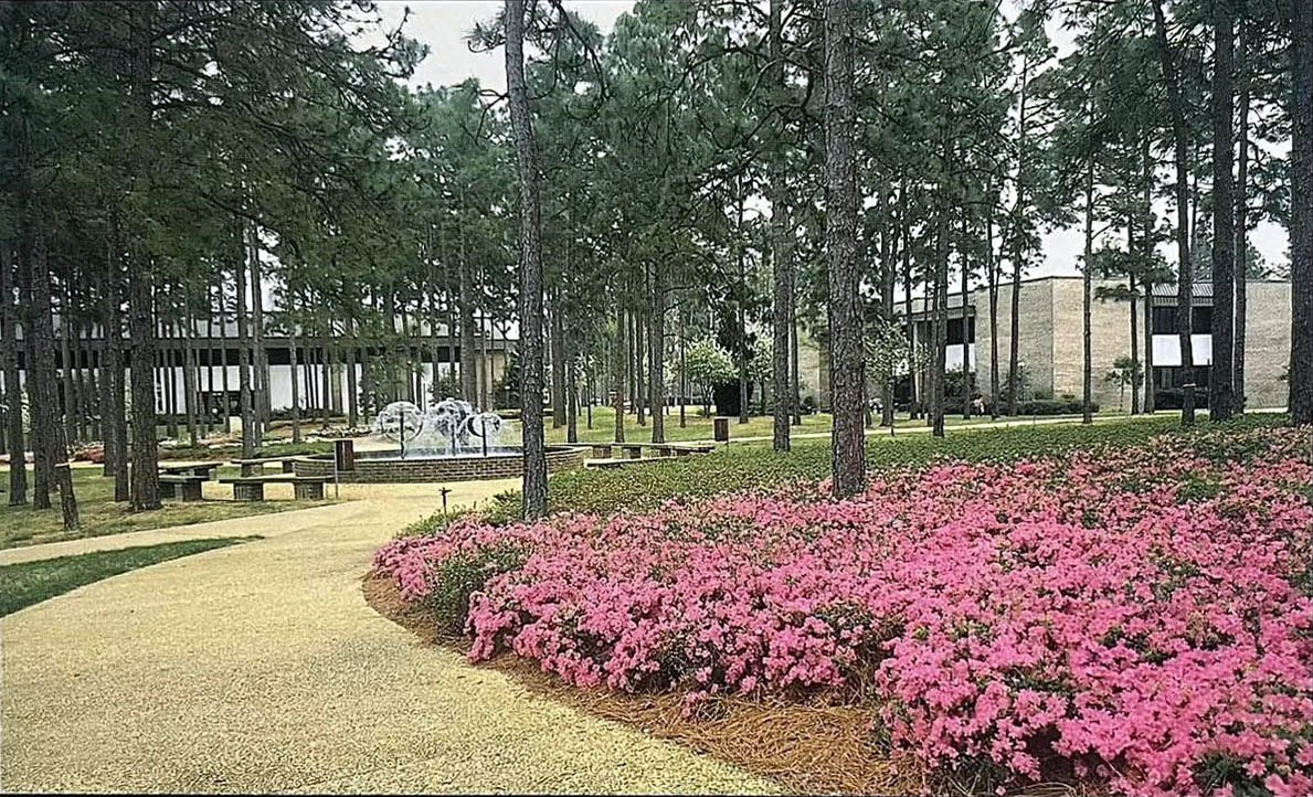 University of South Carolina-Aiken