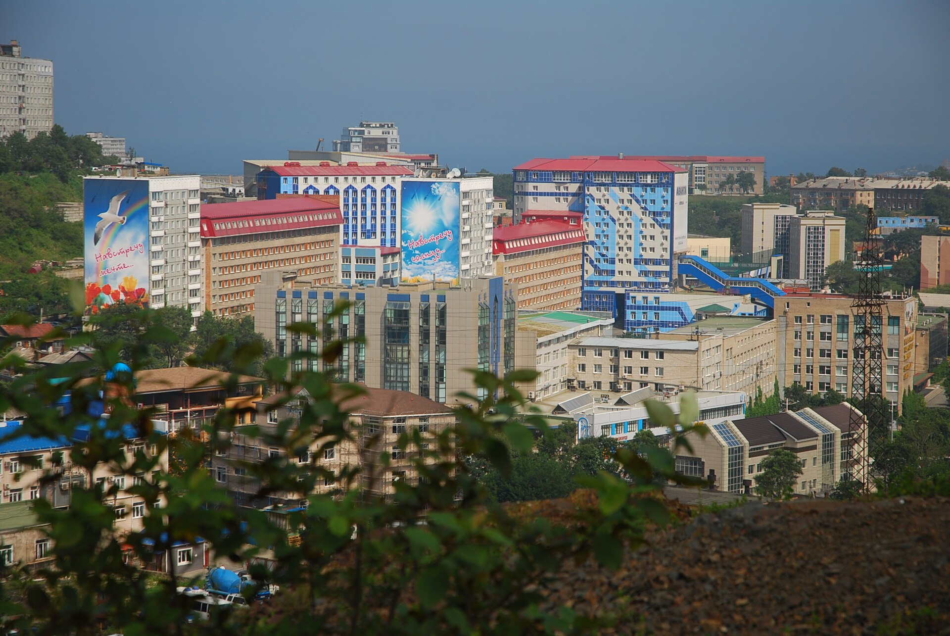 Vladivostok State University of Economics and Service
