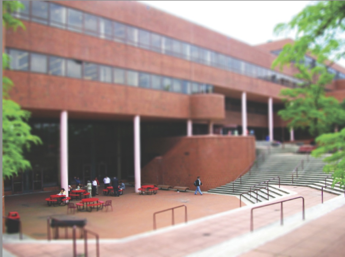 York College