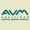 Graiciuno auktoji vadybos mokykla