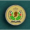 Al-Hussein Bin Talal University
