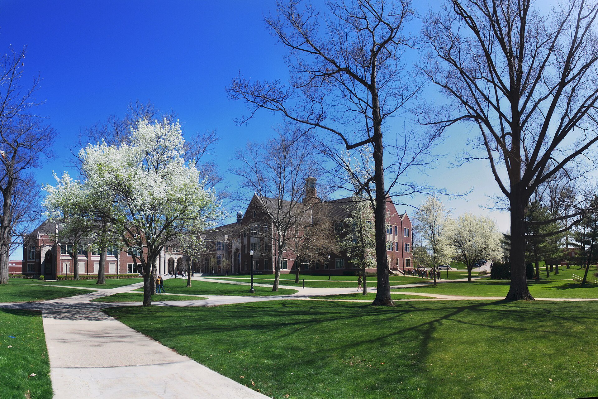 Grove City College