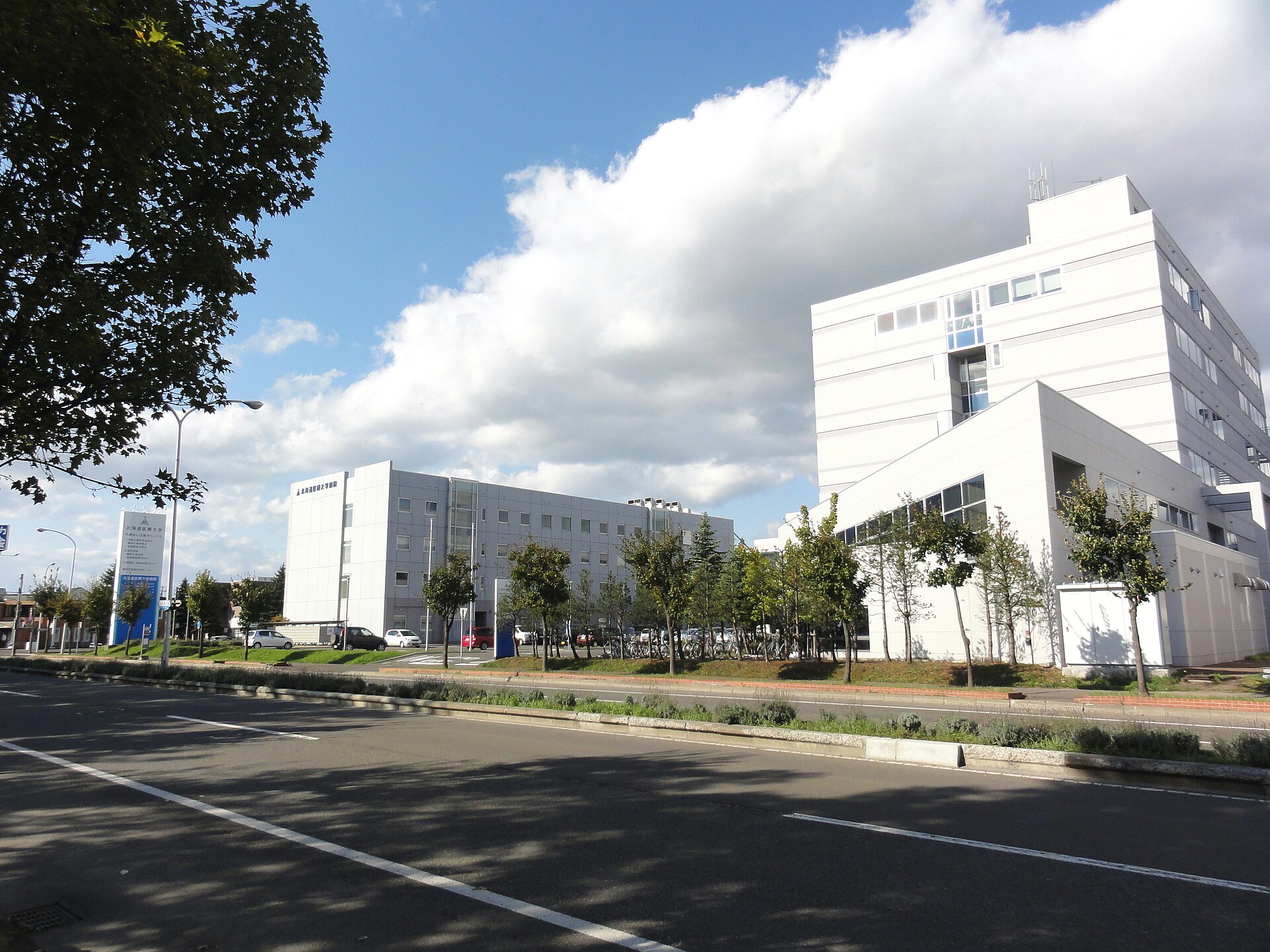 Health Sciences University of Hokkaido
