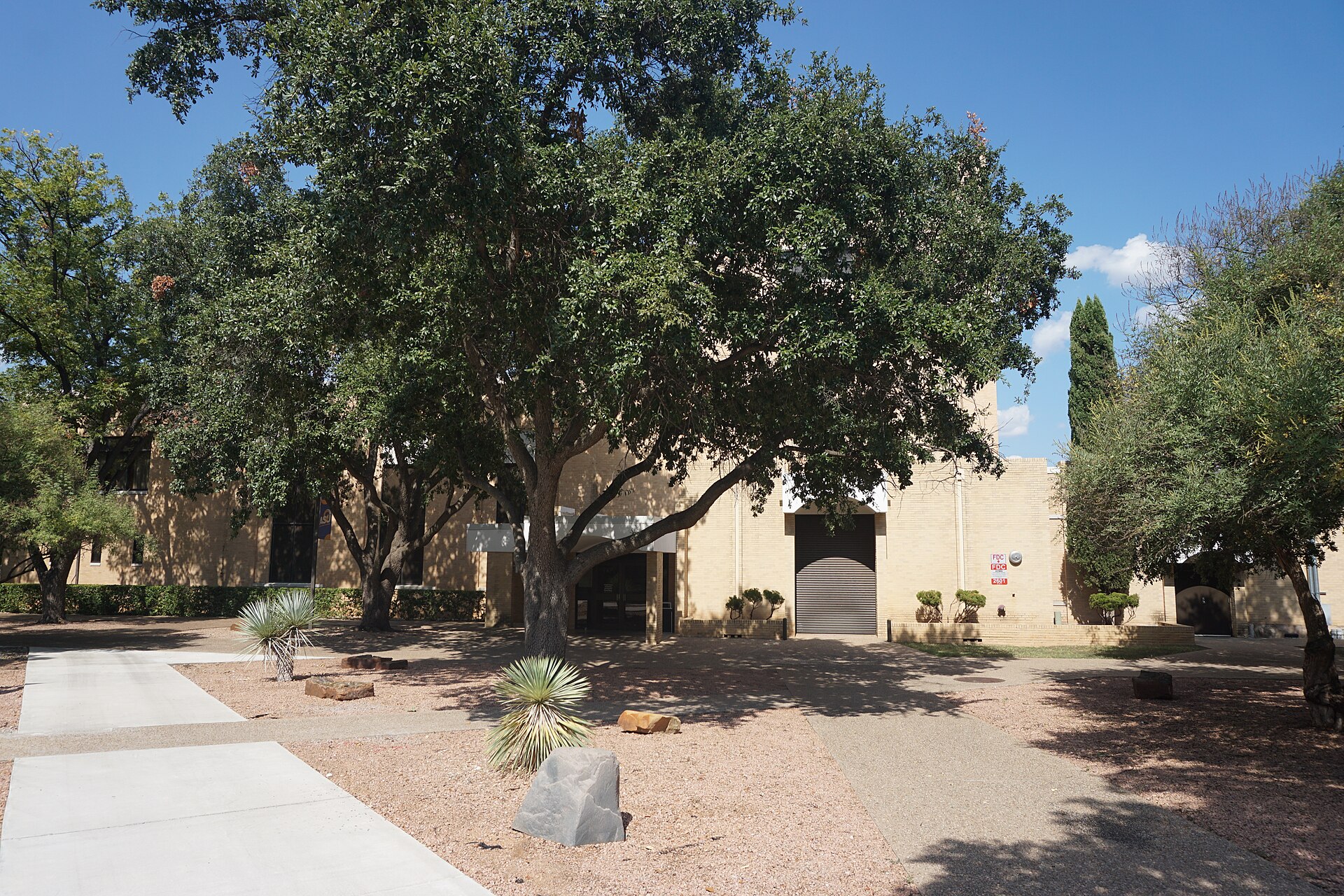 Angelo State University