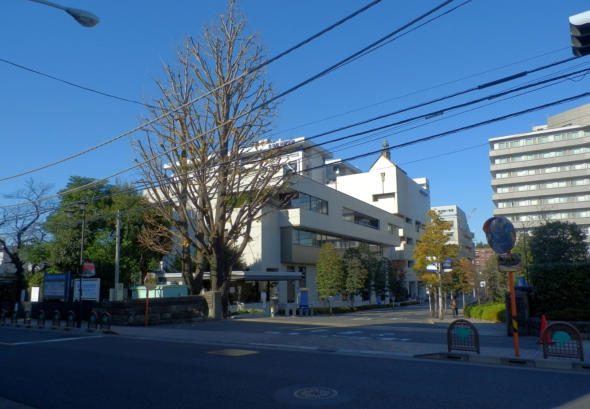 Kitasato University