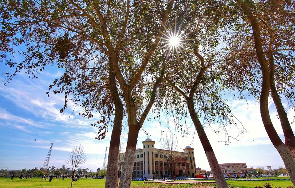 Kohat University of Science and Technology