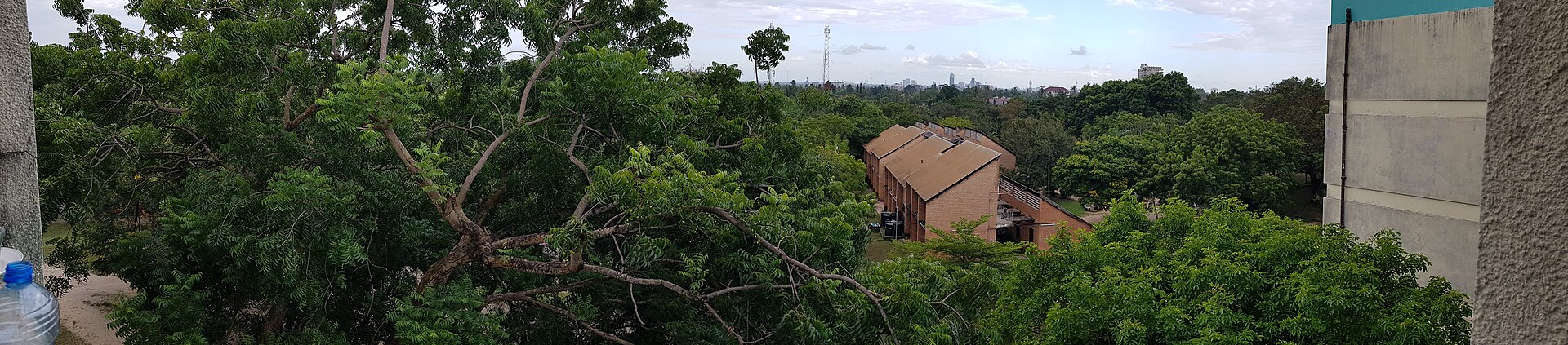 Ardhi University
