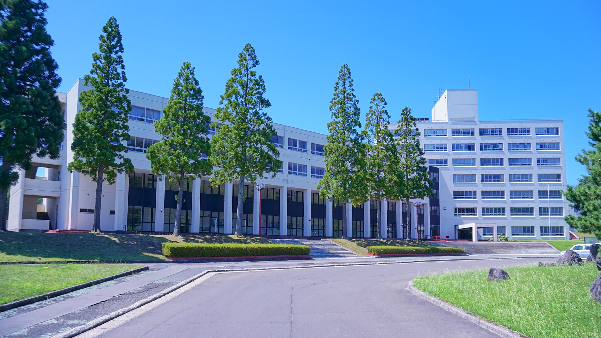 North Asia University