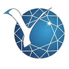 North-Eastern Federal University