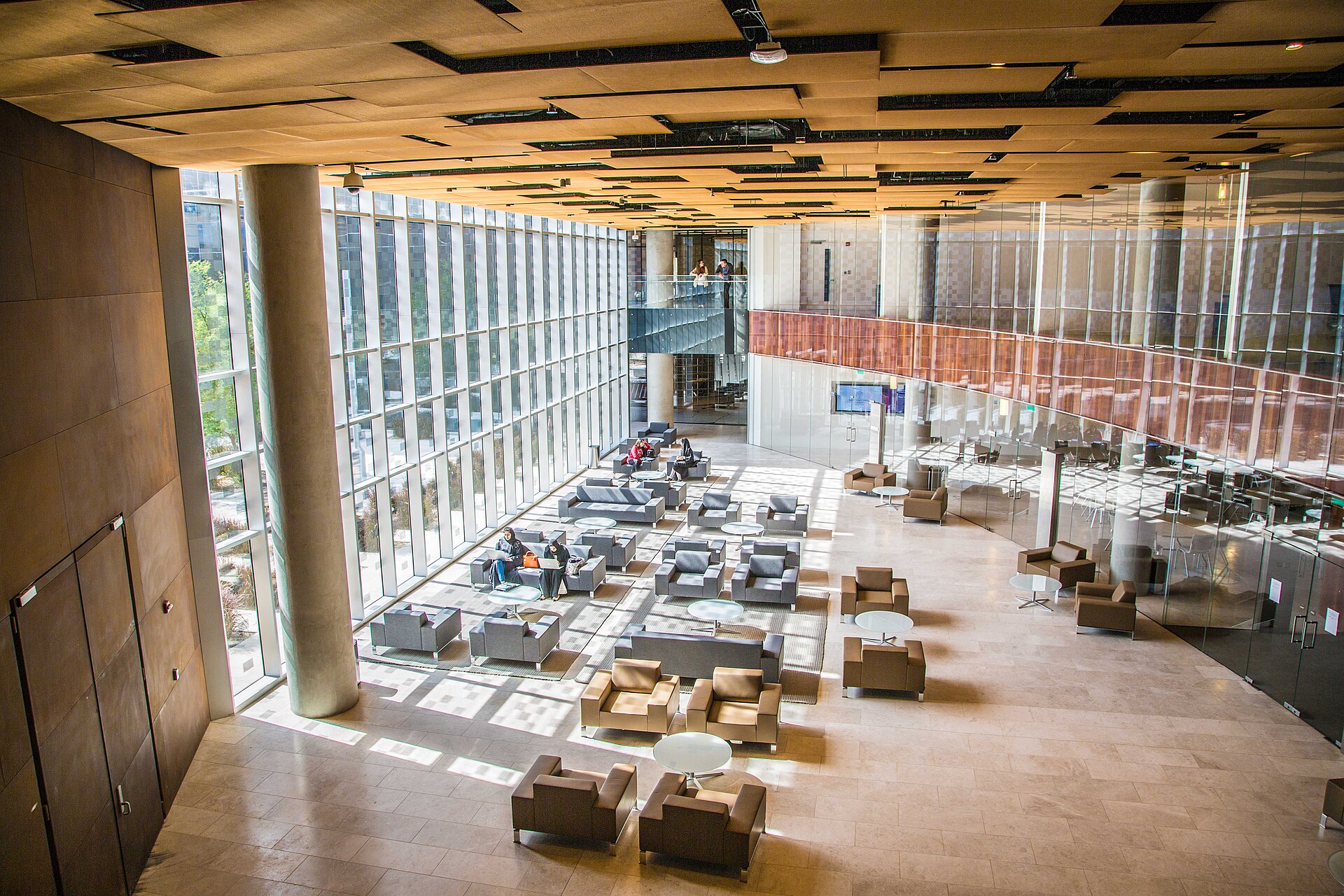 Northwestern University in Qatar