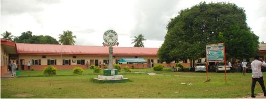Novena University