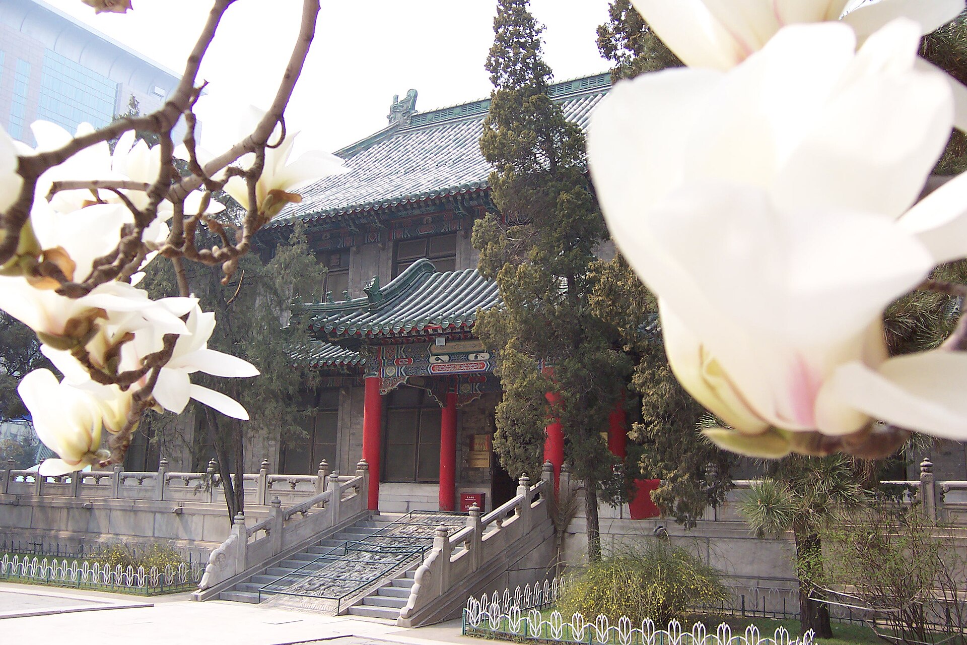 Peking Union Medical College