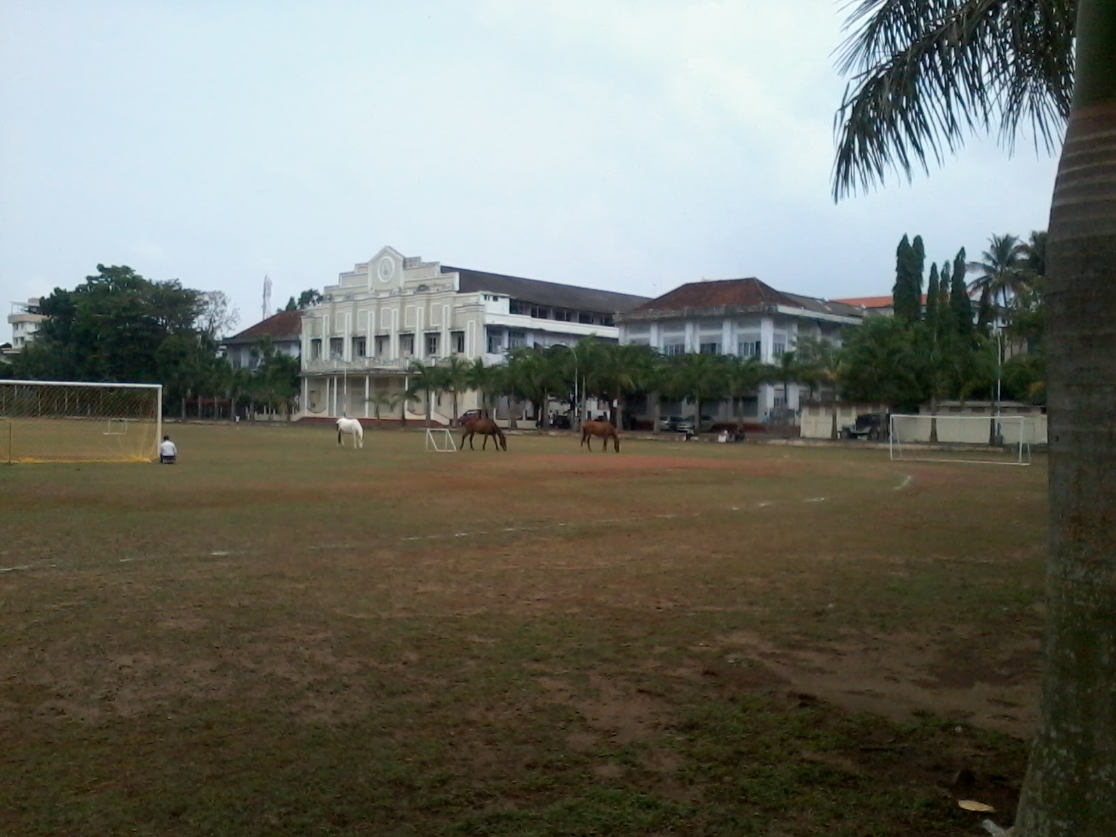 Sacred Heart College