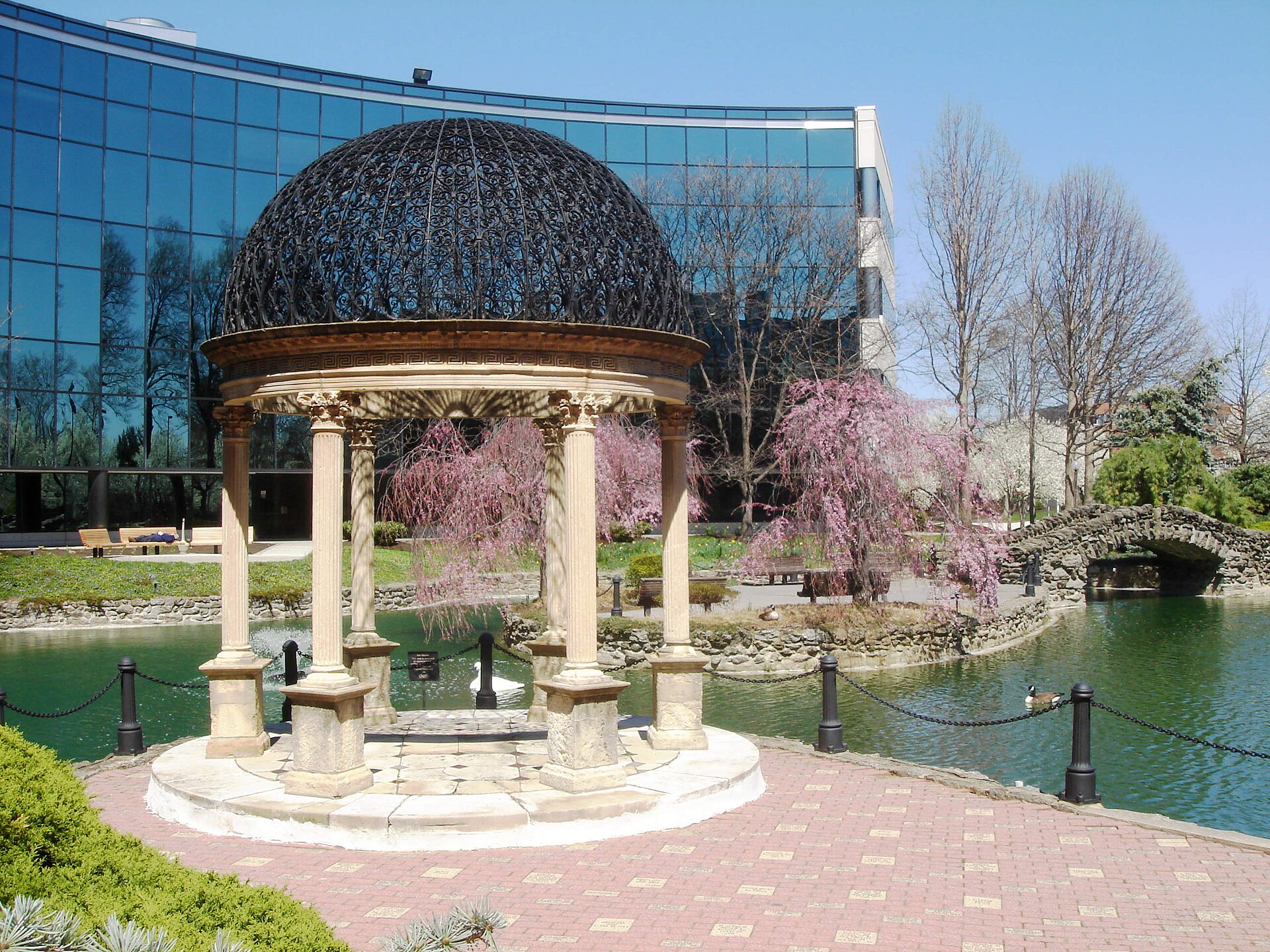 Salus University