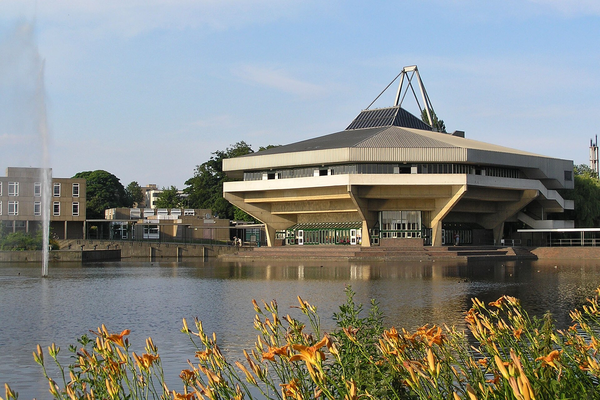 The University of York