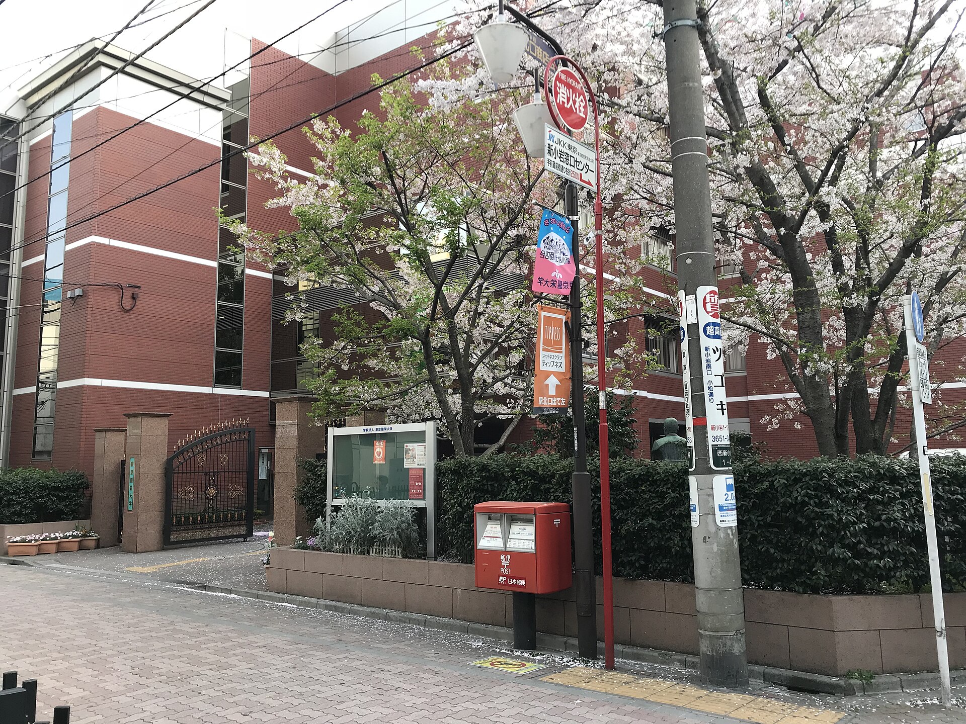 Tokyo Seiei College