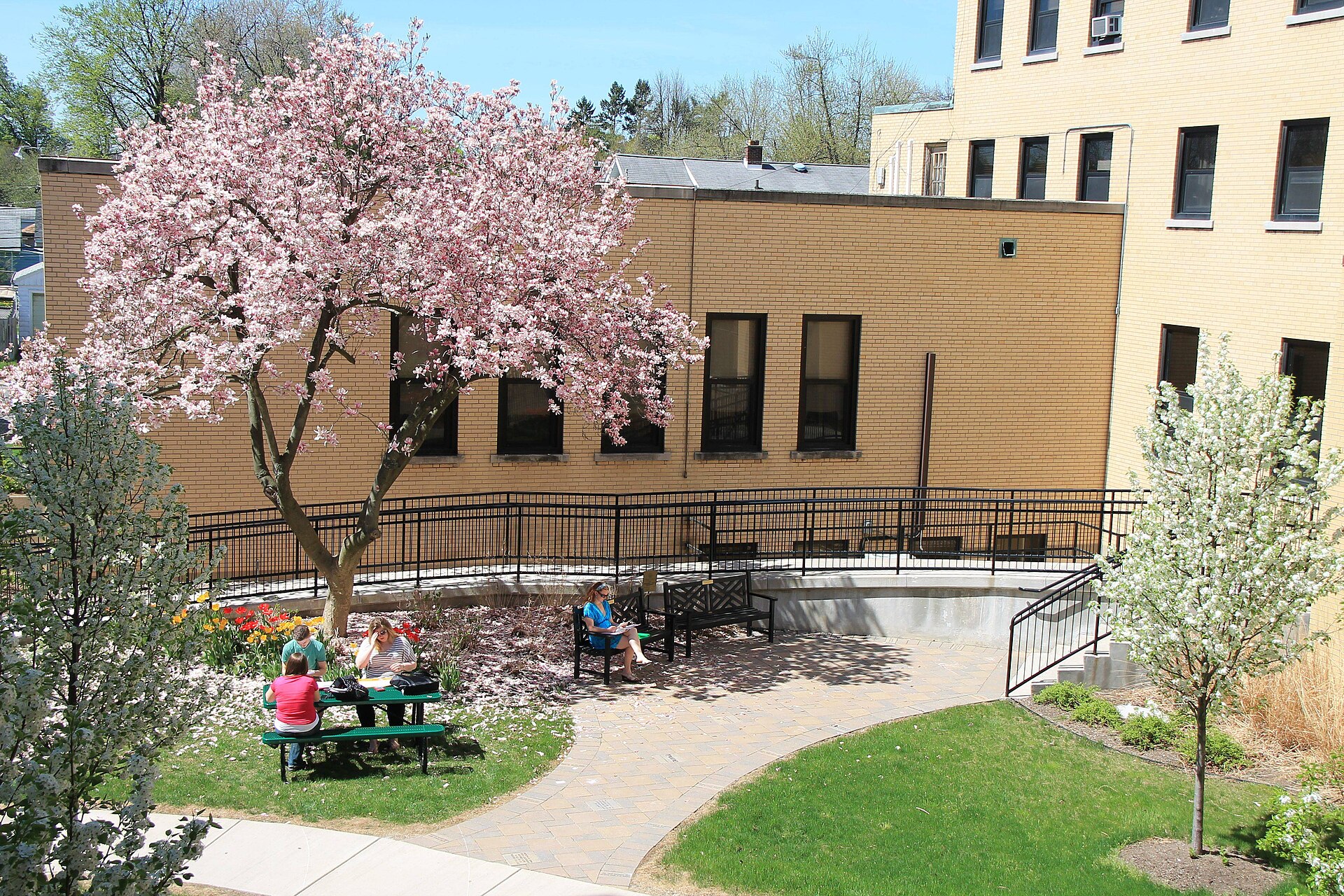 Trocaire College