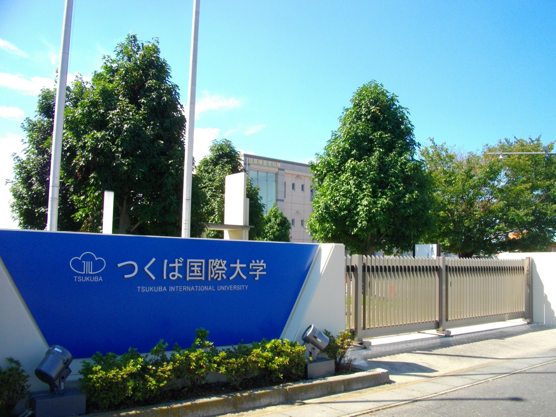 Tsukuba International University