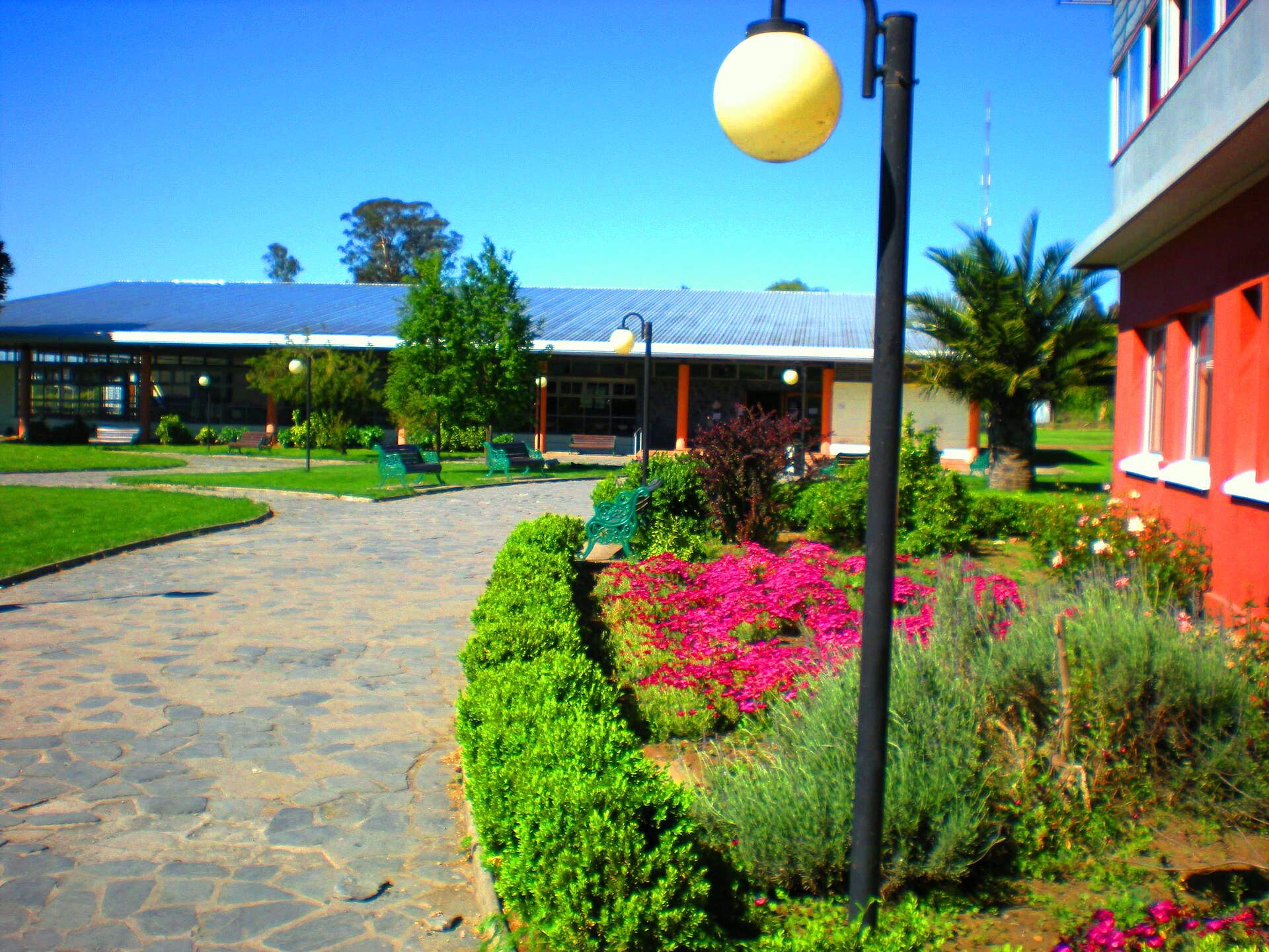 Universidad Adventista de Chile